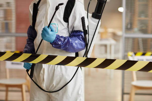 Professional Infectious Disease Decontamination technician working in Center Conway, NH